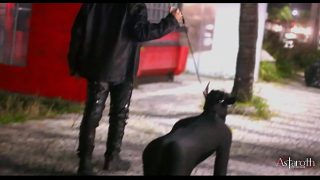Master takes his for a walk in the city. Afterwards in his cage the sucks cock and is fucked good by his owner. P1